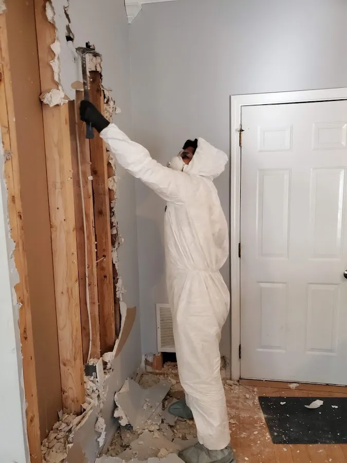Mold Remediation & Removal in Lake Geneva, WI